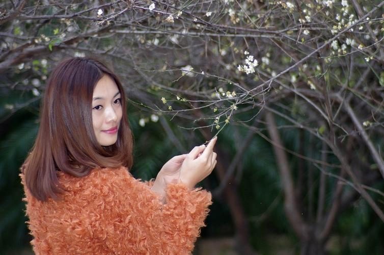 布丁视频最新配图